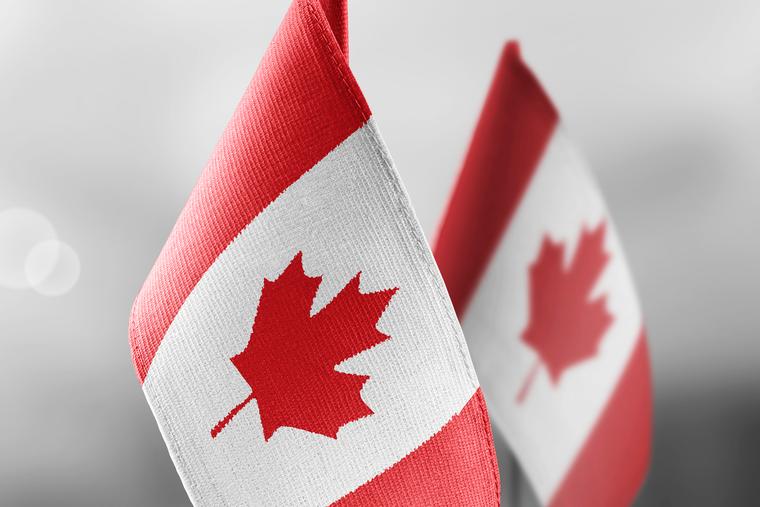 The 2023 Plenary Assembly of the Canadian Conference of Catholic Bishops is underway.