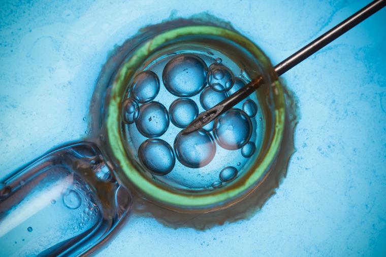 The use of IVF is contrary to Catholic teachings.