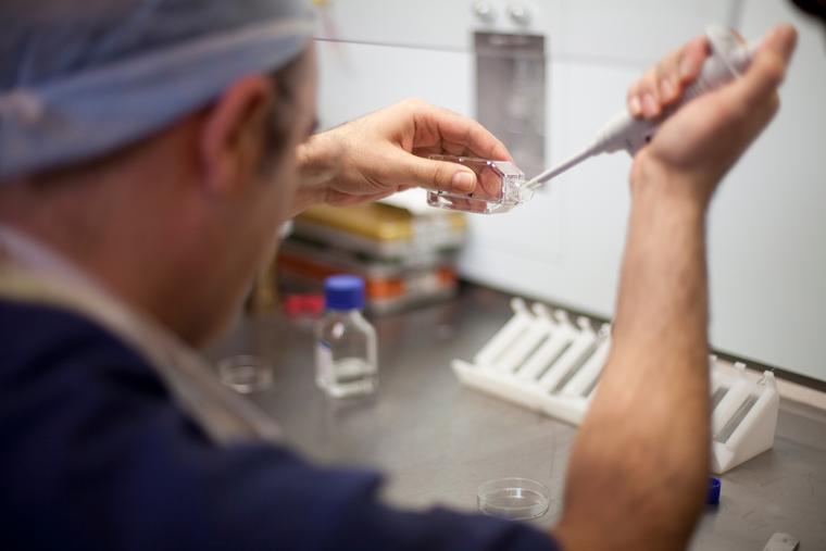 IVF laboratory.