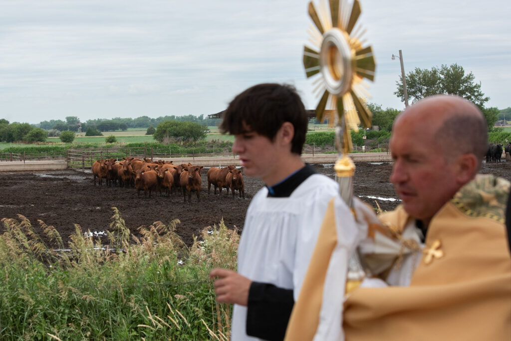 Livestock even stop to look at the procession during the National Eucharistic Pilgrimage through Nebrasa.