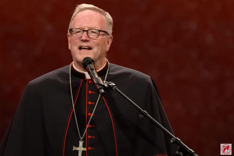 Bishop Robert Barron speaks at the NEC on July 20.