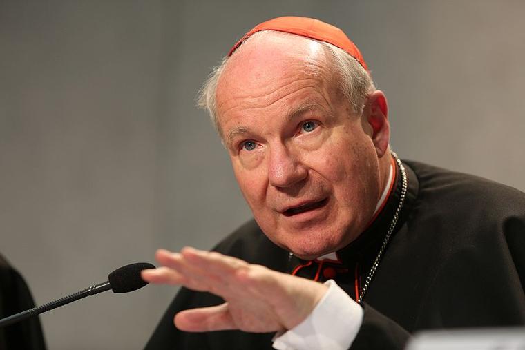 Cardinal Christoph Schönborn speaks at the launch of Amoris Laetitia at the Vatican on April 8, 2016.