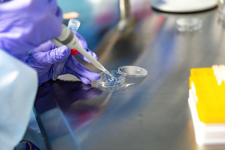 An embryologist, Oksana Lyzohub, prepares reproductive cells in an IVF lab in the 'IVMED' Fertility Center in central Kyiv, Ukraine.
