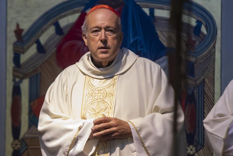 Cardinal Robert McElroy.