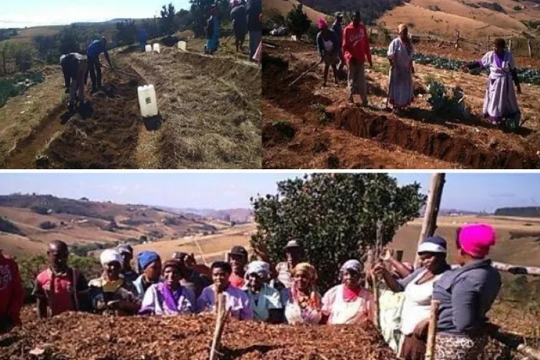 The Justice and Peace Commission of the Southern African Catholic Bishops’ Conference has called for “racial reconciliation” in response to ongoing land reform disputes between South Africa and the United States government.