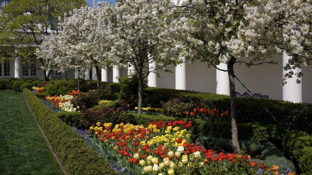 Trump May Make Major Change To White House Landscaping
