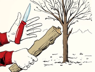 Skill of the Week: Fell a Tree With a Knife