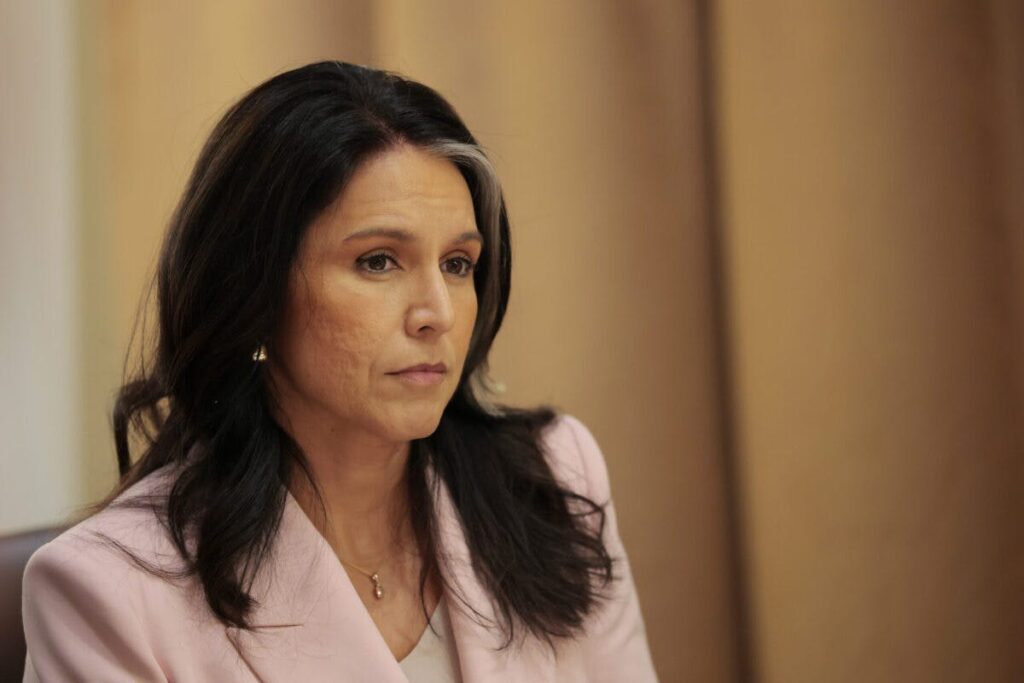 Tulsi Gabbard Targets ‘Deep-State’ Intelligence Leakers With Criminal Referrals