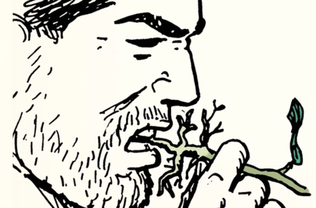 Skill of the Week: Test If a Plant Is Edible