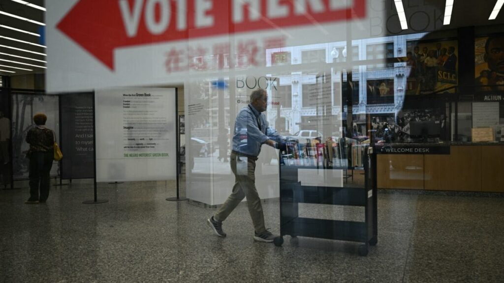 Nearly 150 Democrats Oppose Bill Banning Noncitizens From Voting In Nation’s Capital