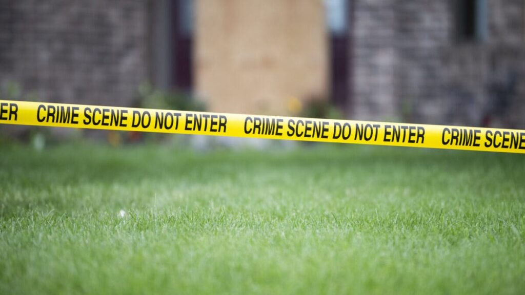 Suspect In Minnesota Political Assassination Captured Alive