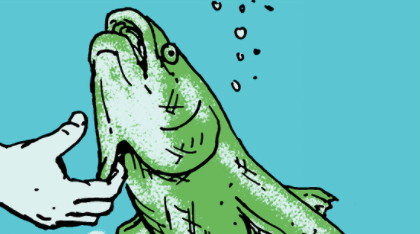 Skill of the Week: Catch a Fish With Your Bare Hands