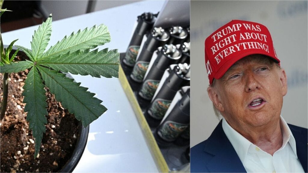 Groups Urge Trump To Reject ‘Flawed’ Weed Reclassification Push