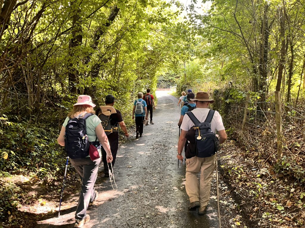 Pilgrims walk together in the shade.