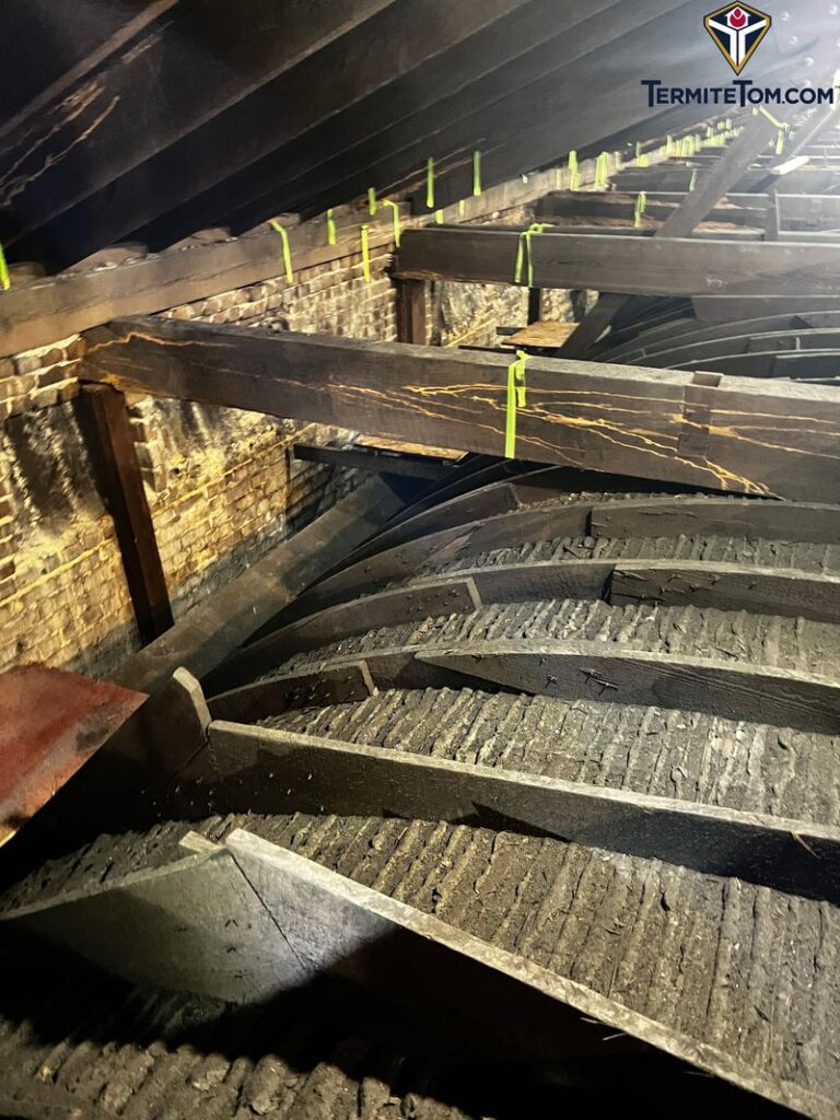 Termite damage is marked in the attic of the Cathedral-Basilica of the Immaculate Conception in Mobile, Alabama, in an undated photo. | Credit: Photo courtesy of Termite Tom