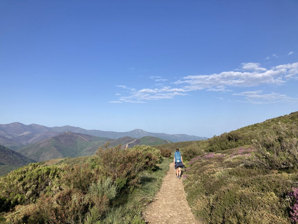 Along the Camino