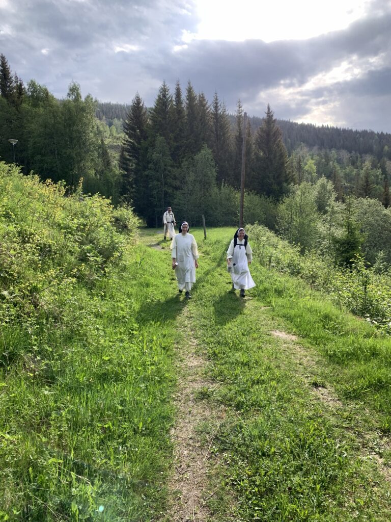 Along St. Olaf’s Way
