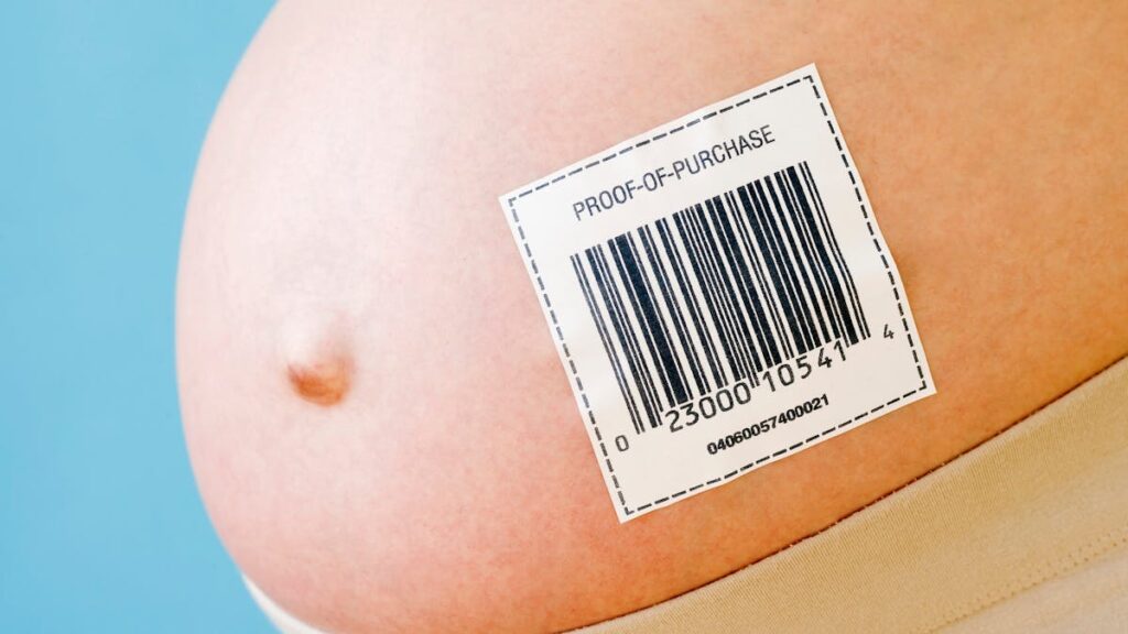 Gay Couple Sues Surrogate For All She Has Because She Refused Abortion