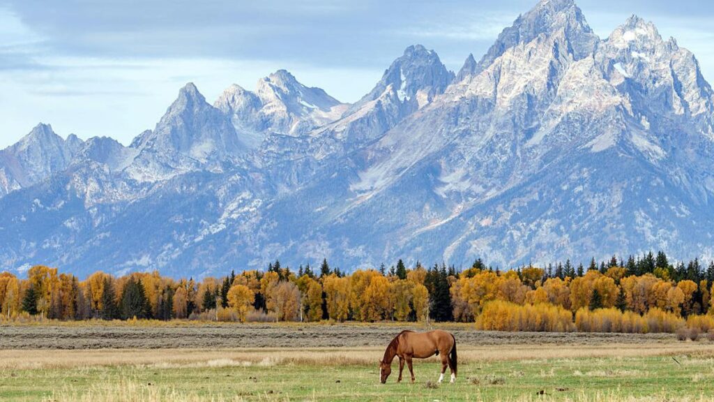 Take Me Out To The National Park? MLB Explores An Unusual Venue