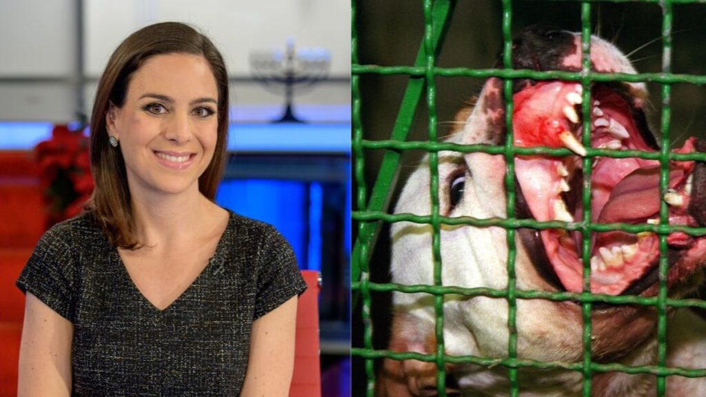 Fox Business Star ‘Permanently Disfigured’ After Vicious Dog Attack — You’ll Never Guess The Breed